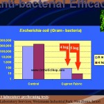 Anti-Bacterial