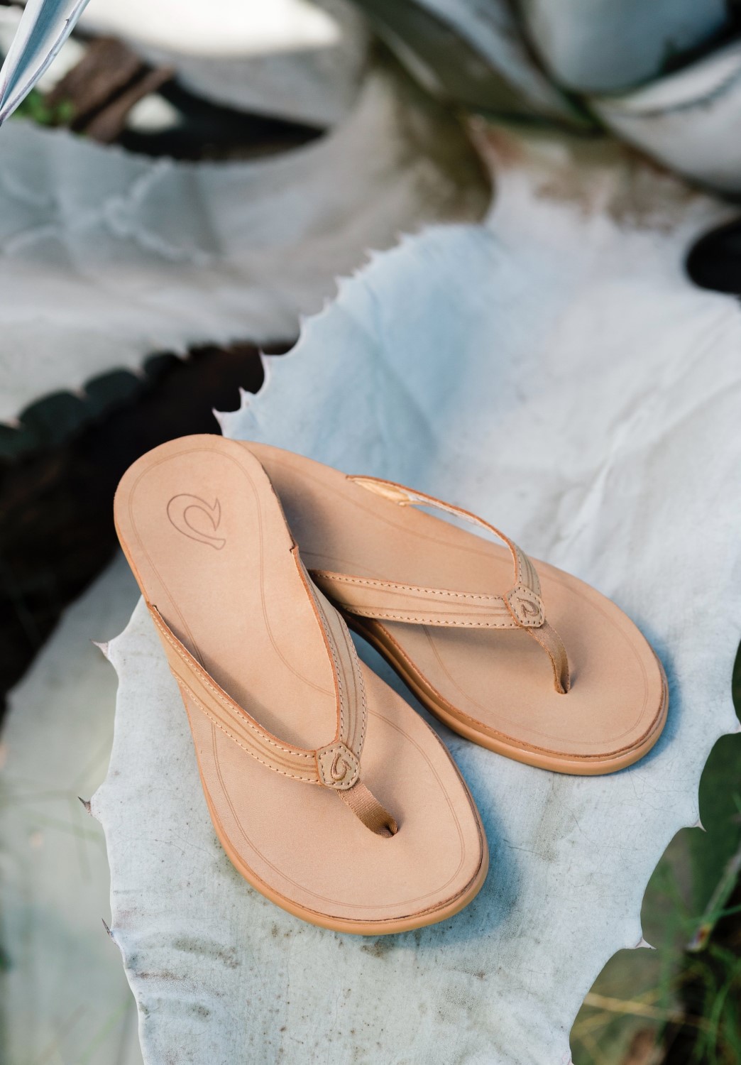 OluKai Women's Sandals Free Shipping