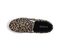 Lamo Piper Shoes EW1802 - Cheetah - Top View