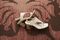 Vionic Alondra Womens Quarter/Ankle/T-Strap Sandals - Cream - 1-med