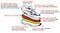 Answer2 Shoe Structure Diagram White/Navy