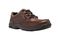 Dunham Exeter Low Casual Shoes - Brown