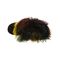 Bearpaw Boo - Women's 7 Inch Furry Boot - 1854W  951 - Rasta - Top View