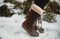 Bearpaw Denali Women's Tall Insulated Lace Up Boot - Lifestyle