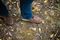 Pendleton Men\'s Kinsman Trail Waterproof Leather & Pendleton Wool Waterproof Hiking Boot - Lifestyle